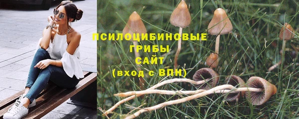 дживик Балабаново