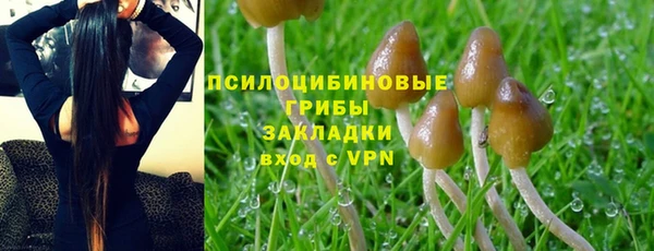 скорость Балахна