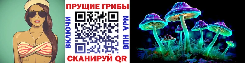 MEGA маркетплейс  Сухиничи  darknet клад  даркнет сайт  Галлюциногенные грибы MAGIC MUSHROOMS 